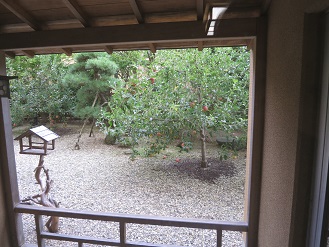 竹葉新葉亭　リンゴの木