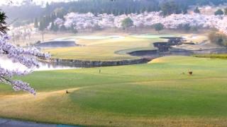 桜に囲まれたホール