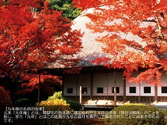 九年庵の紅葉